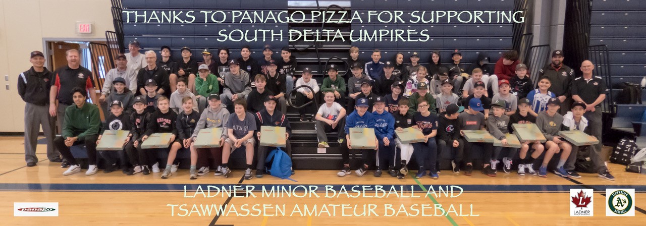 Umpire Clinic 2020 Umpire Clinic 2020