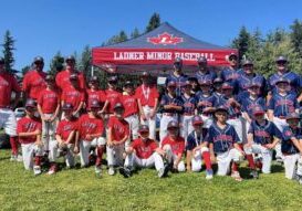 2023 8U and 9U summer ball teams